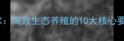 云南海饲料养殖技术高效生态养殖的10大核心要点与产业升级路径