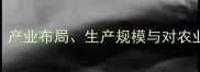 金锣饲料厂位置产业布局生产规模与对农业发展的行业影响