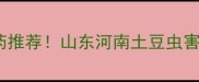 5种高效农药推荐山东河南土豆虫害防治全攻略