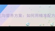 大猪饲料科学配比与营养方案如何用精准配方提升养殖效益