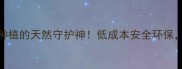 玉米须农药家庭种植的天然守护神低成本安全环保效果堪比化学农药