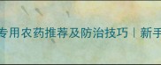 茶树黄化病专用农药推荐及防治技巧新手必看种植攻略