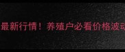 沈阳生猪价格最新行情养殖户必看价格波动与市场趋势