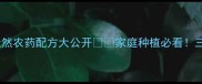 韭菜红蜘蛛克星天然农药配方大公开家庭种植必看三招告别虫害不伤菜
