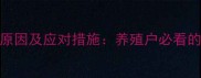 饲料价格上涨原因及应对措施养殖户必看的成本控制指南