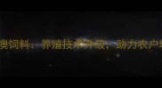 广东饲料品牌顺德誉澳饲料养殖技术升级助力农户增收的三大核心优势