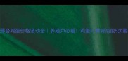 河北邢台鸡蛋价格波动全养殖户必看鸡蛋行情背后的5大影响因素