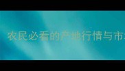 1月13玉米价格波动全农民必看的产地行情与市场趋势附种植建议