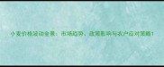 小麦价格波动全景市场趋势政策影响与农户应对策略