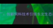 沈阳久饲料厂创新饲料技术引领东北生态养殖新趋势