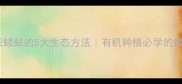 不用农药消灭蝼蛄的5大生态方法有机种植必学的蝼蛄防治指南
