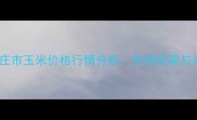8月山东省枣庄市玉米价格行情分析市场供需与政策影响解读