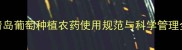 山东青岛葡萄种植农药使用规范与科学管理全攻略