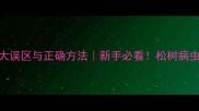 松树打农药的5大误区与正确方法新手必看松树病虫害防治全攻略