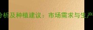 小油菜价格波动分析及种植建议市场需求与生产成本双视角解读